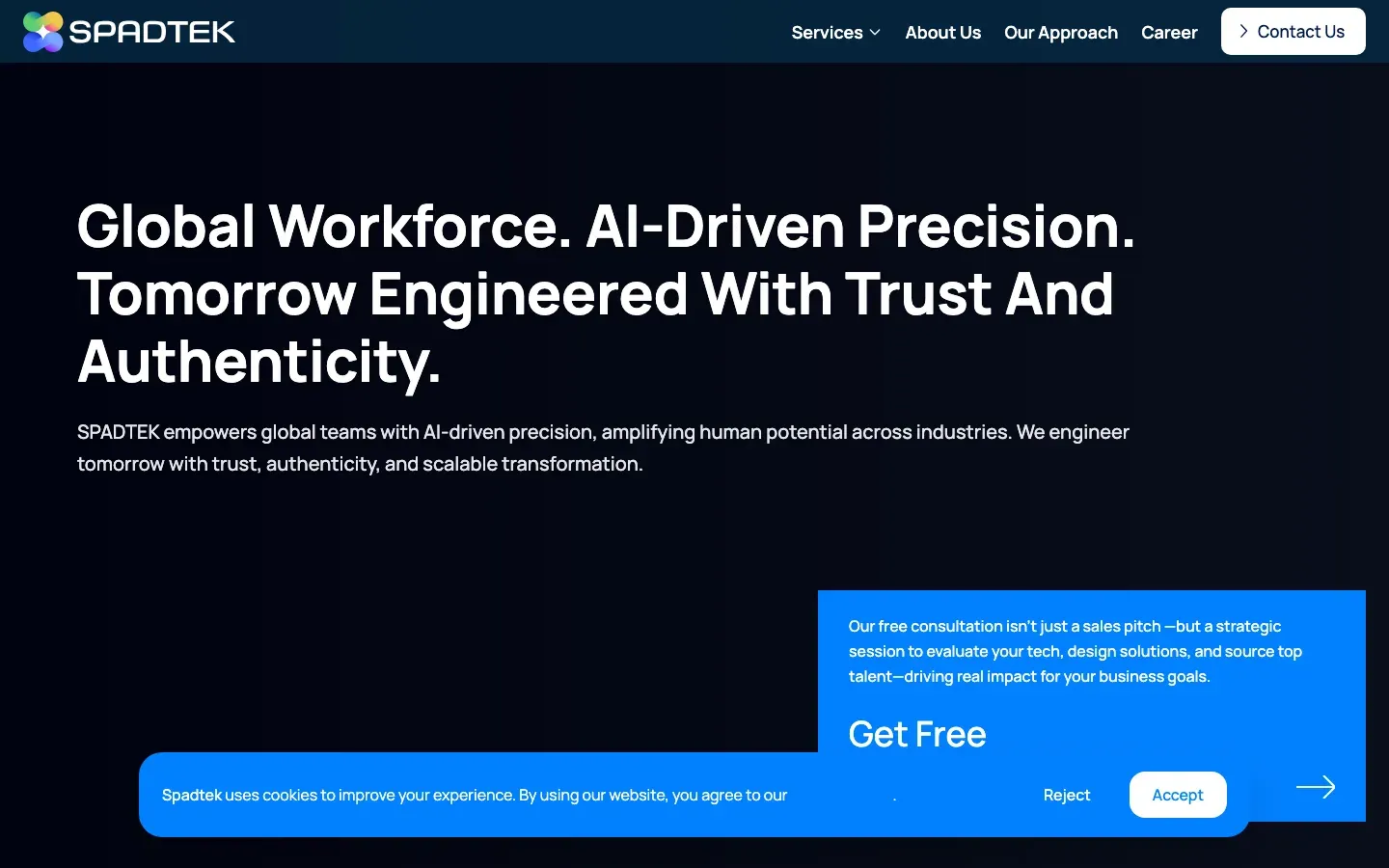 Spadtek website, first screen